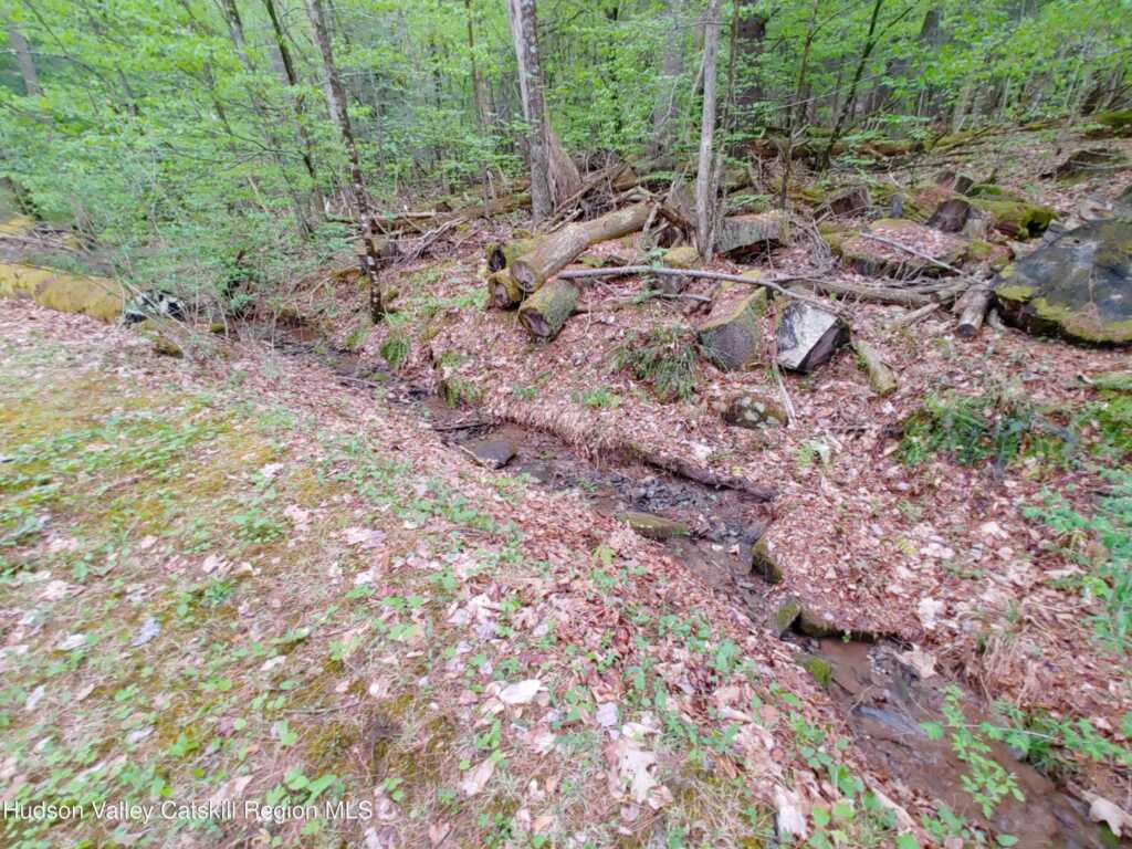 249 High Street, Phoenicia, NY 12464 - Photo 11 of 35