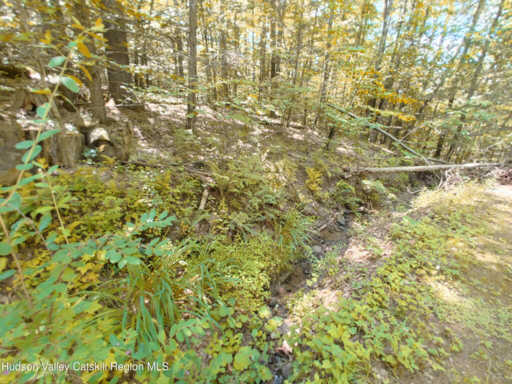 249 High Street, Phoenicia, NY 12464 - Photo 9 of 35