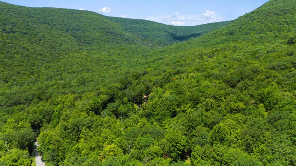 273 Grog Kill Road, Woodstock, NY 12495 - Photo 34 of 38