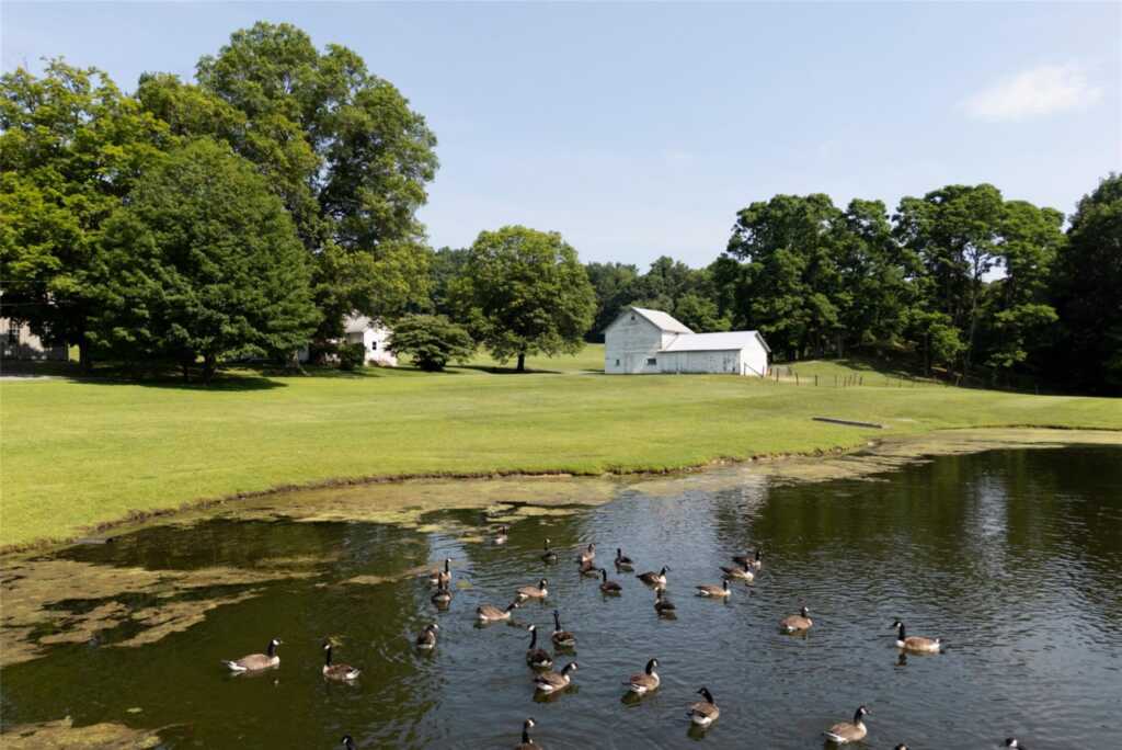 77 Old Post Road, Rhinebeck, NY 12572 - Photo 27 of 28