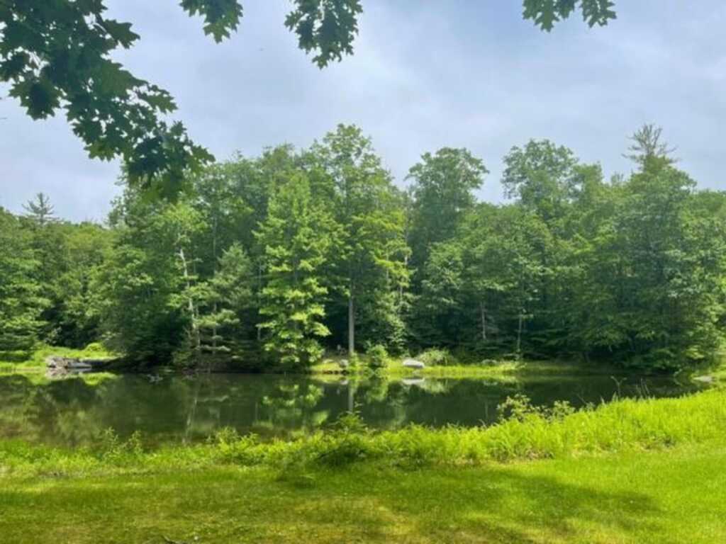 273 Grog Kill Road, Woodstock, NY 12495 - Photo 36 of 37