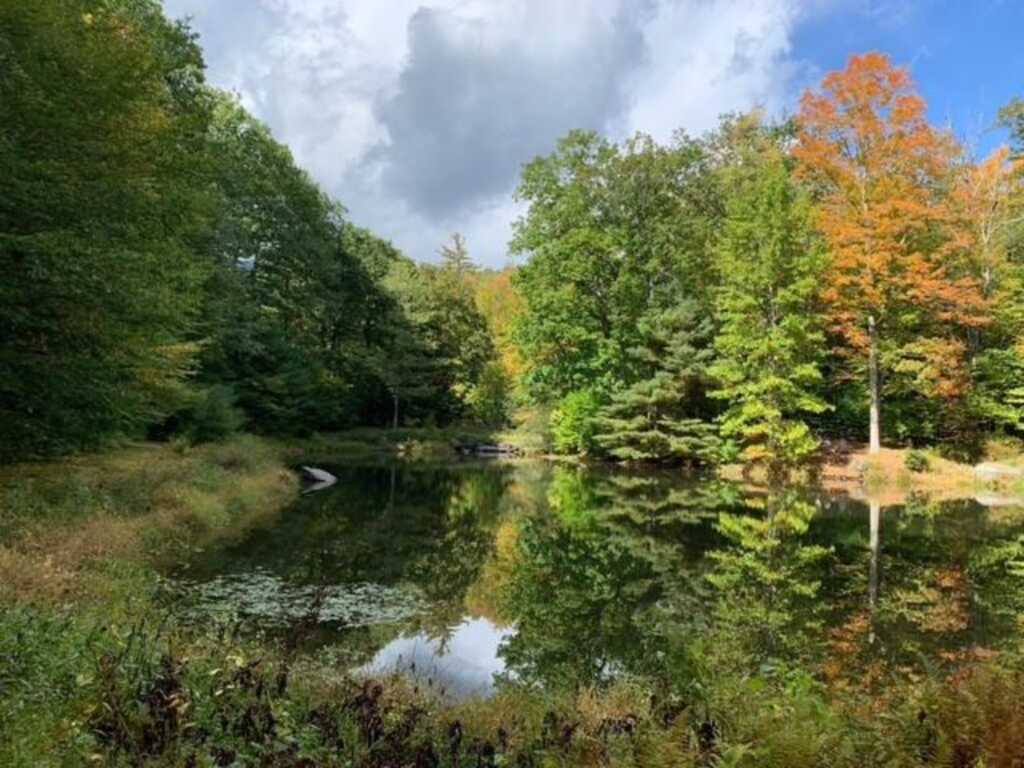 273 Grog Kill Road, Woodstock, NY 12495 - Photo 37 of 37