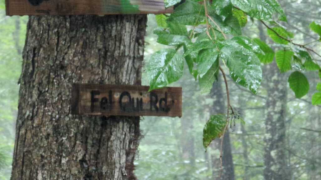 11 Fel Qui Road, Saugerties, NY 12498 - Photo 25 of 25