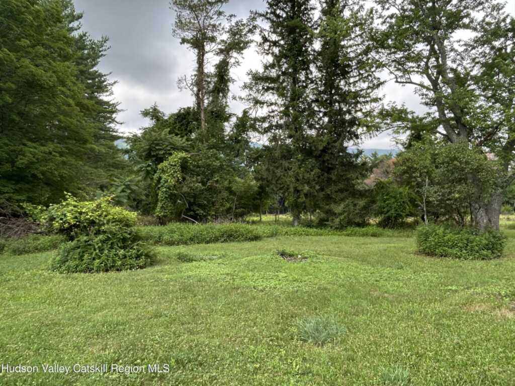 969 Blue Mountain Road, Saugerties, NY 12477 - Photo 22 of 23