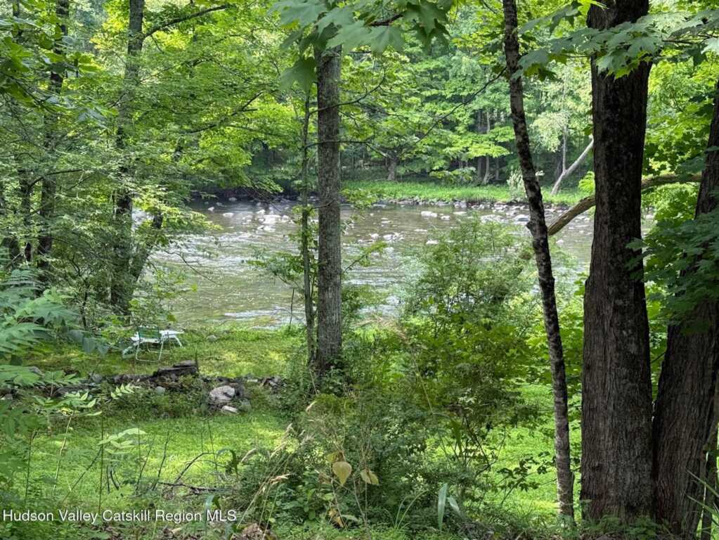 546 Berme Rd, High Falls, NY 12440 - Photo 2 of 50