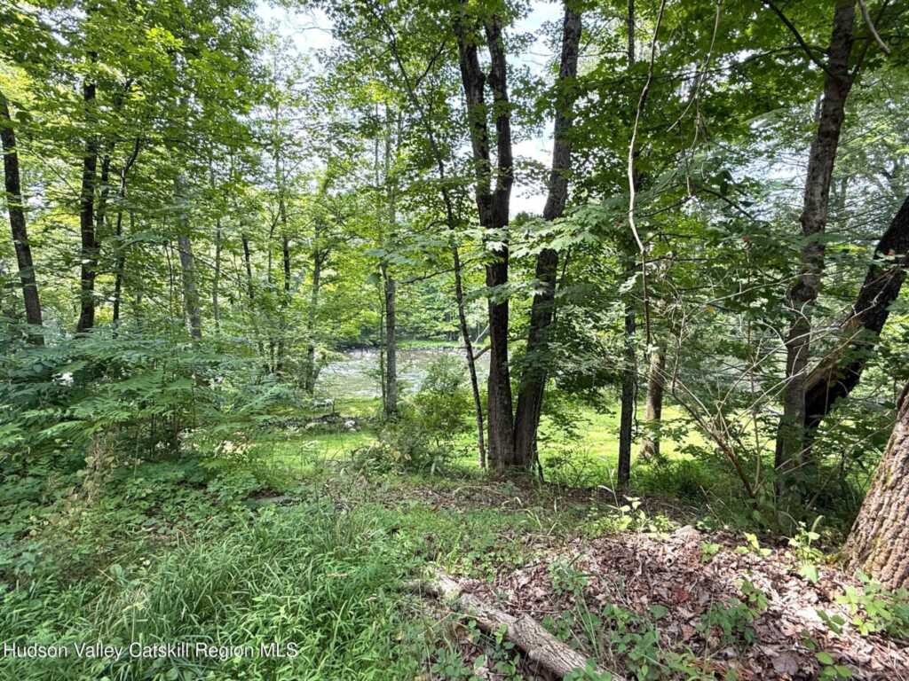 546 Berme Rd, High Falls, NY 12440 - Photo 46 of 50