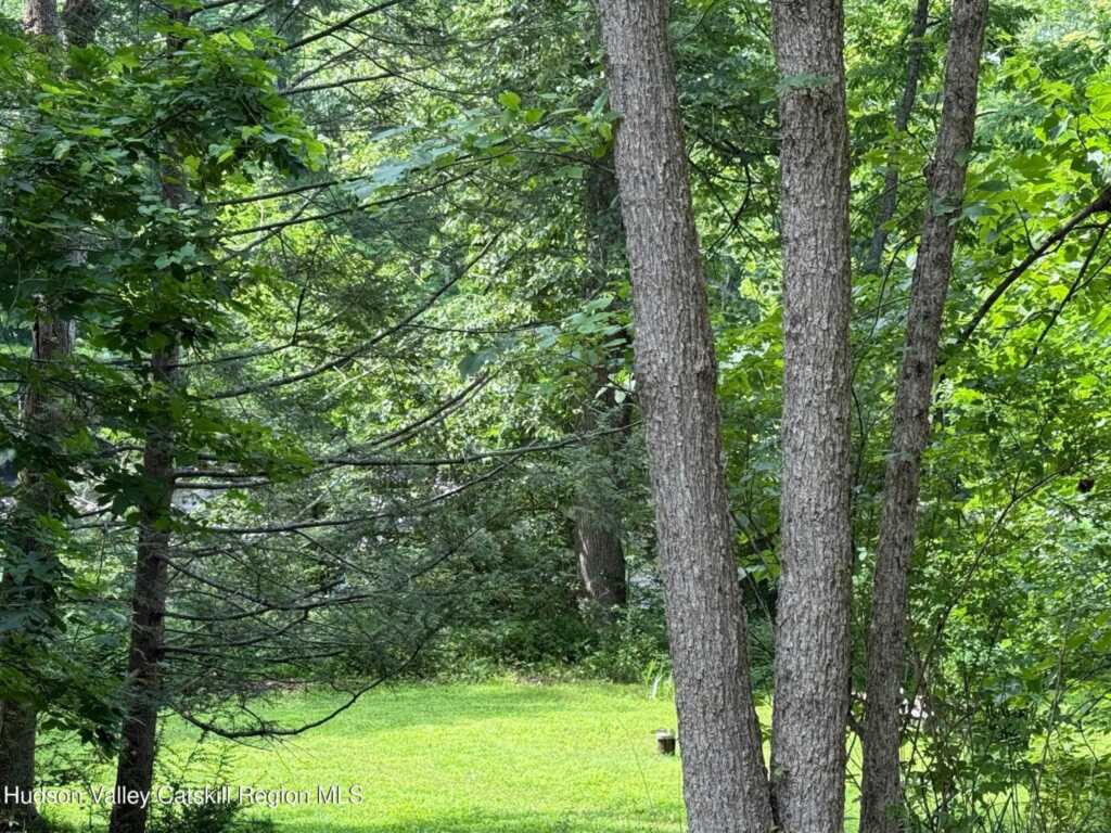 546 Berme Rd, High Falls, NY 12440 - Photo 48 of 50