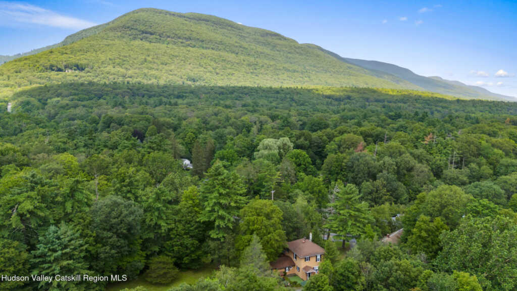 427 West Saugerties Road, Saugerties, NY 12477 - Photo 6 of 45