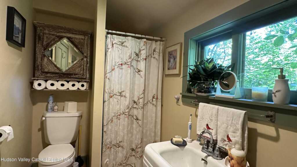 2448 Lucas Turnpike Turnpike, High Falls, NY 12440 - Photo 17 of 27