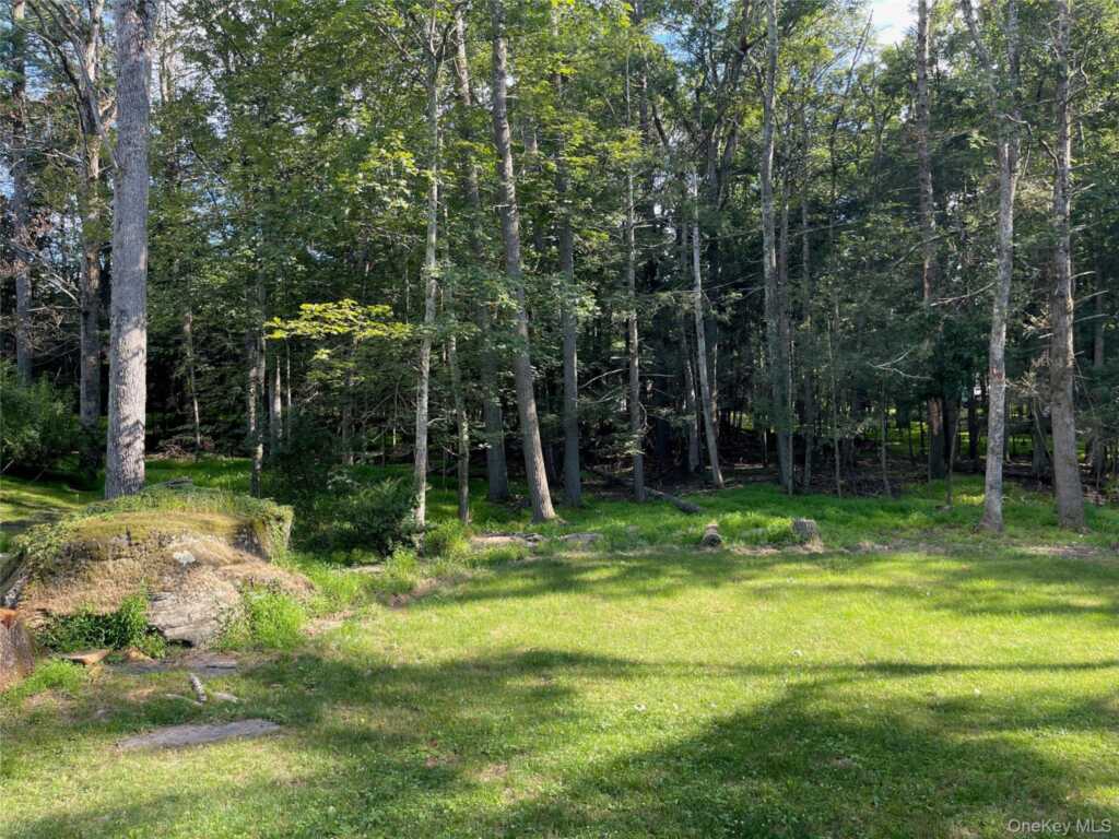 5 Violet Place, Woodstock, NY 12498 - Photo 20 of 24