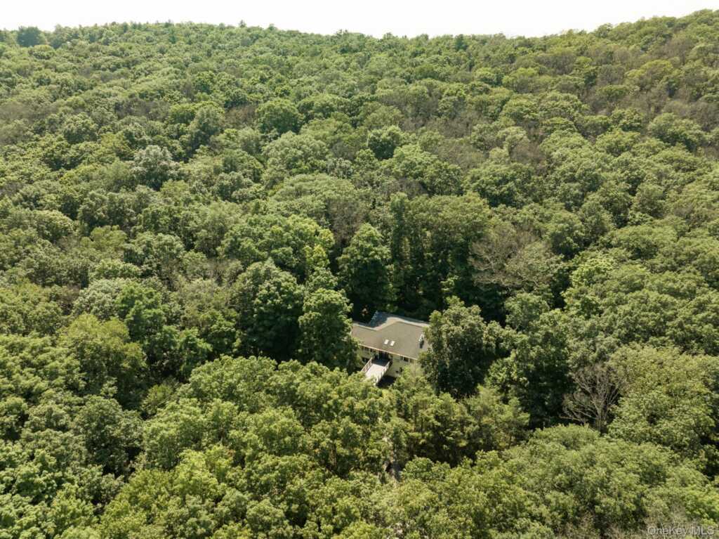 439 Lake drive, Rhinebeck, NY 12572 - Photo 33 of 37