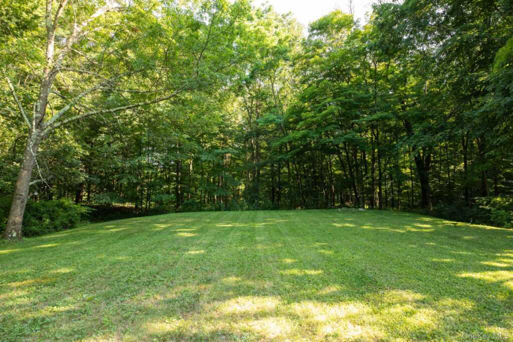439 Lake drive, Rhinebeck, NY 12572 - Photo 35 of 37