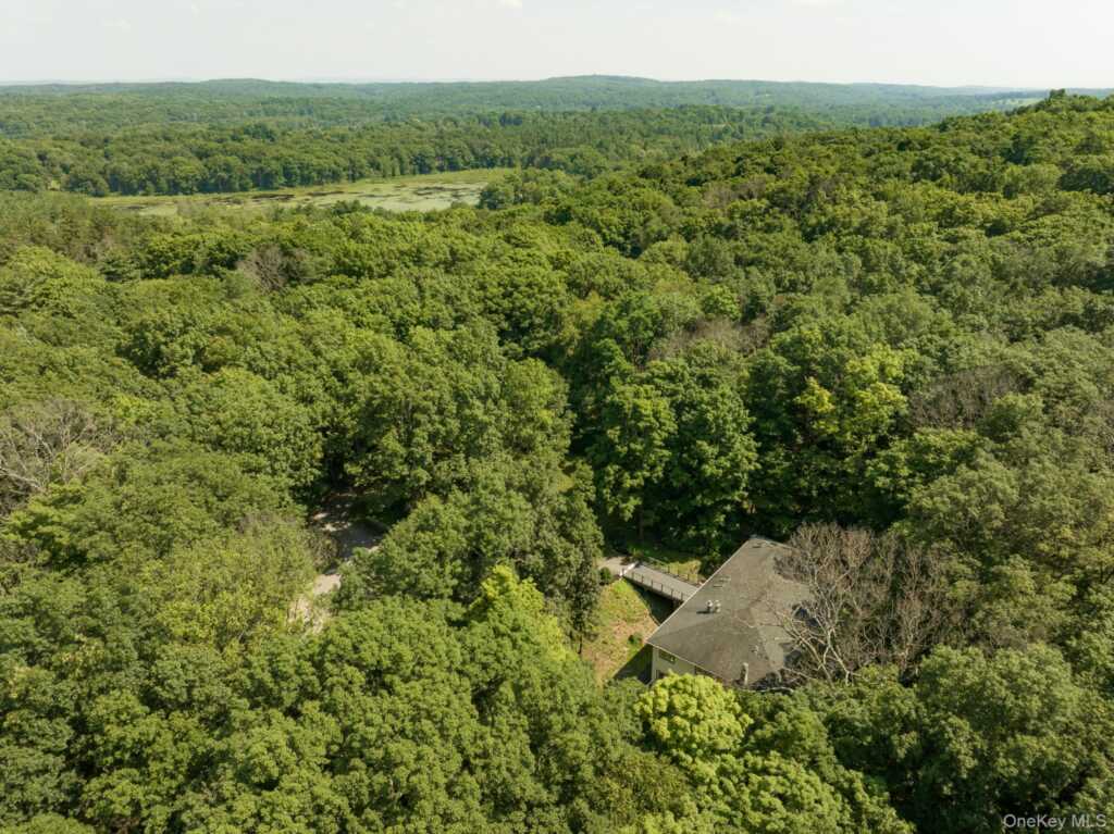 439 Lake drive, Rhinebeck, NY 12572 - Photo 37 of 37