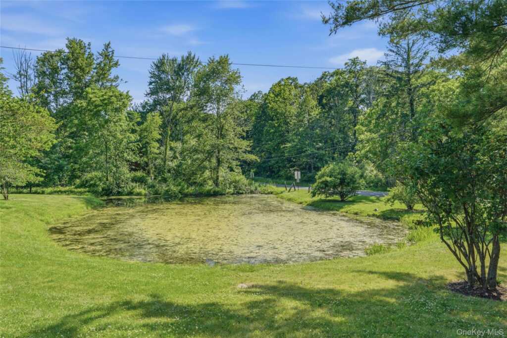 442 S Ohioville Road, New Paltz, NY 12561 - Photo 42 of 43