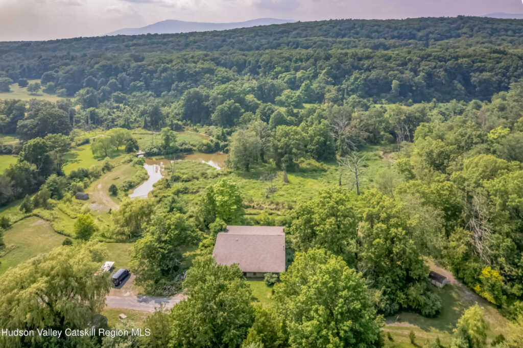 98 Mower Mill Road, Saugerties, NY 12477 - Photo 3 of 15