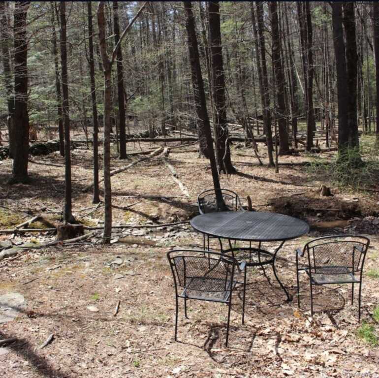 20 Country Club Lane, Woodstock, NY 12498 - Photo 16 of 17