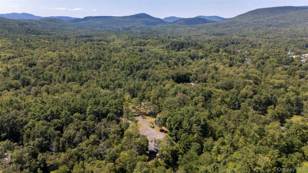 20 Country Club Lane, Woodstock, NY 12498 - Photo 4 of 17