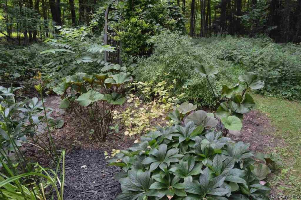 18 Marko Grove, Woodstock, NY 12498 - Photo 22 of 24