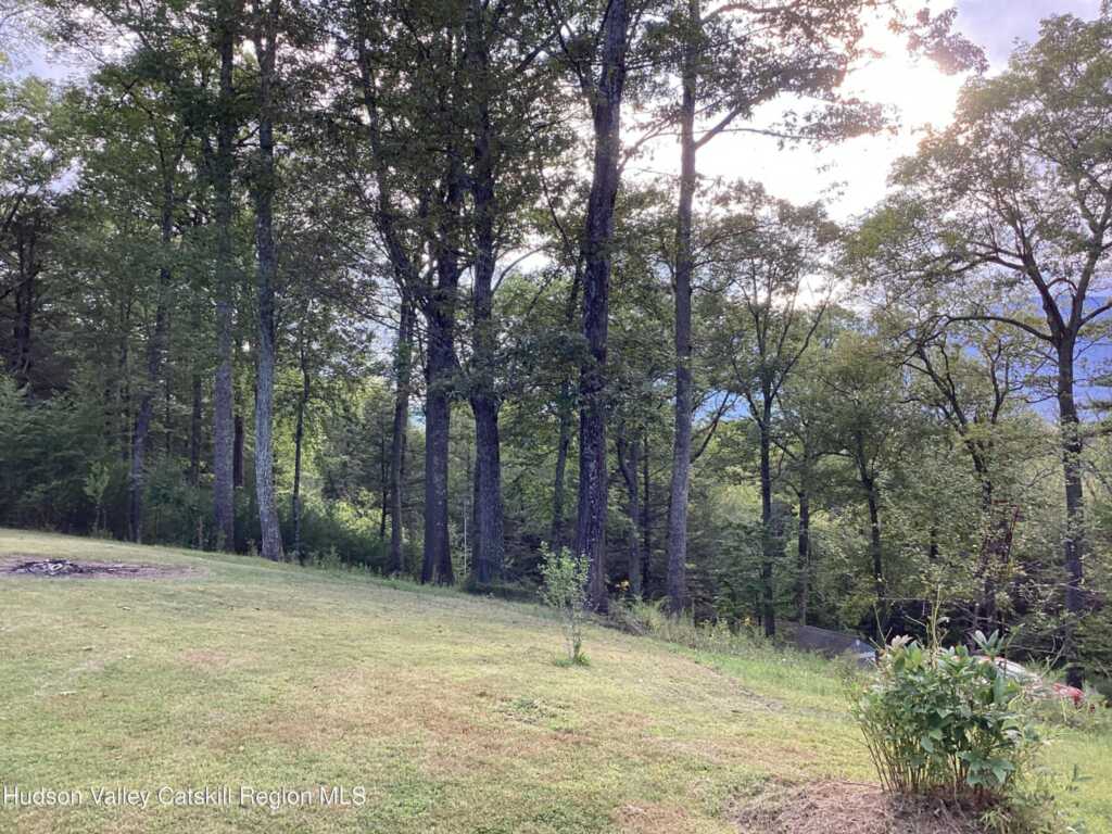 83 Buffalo Road, Saugerties, NY 12477 - Photo 17 of 38