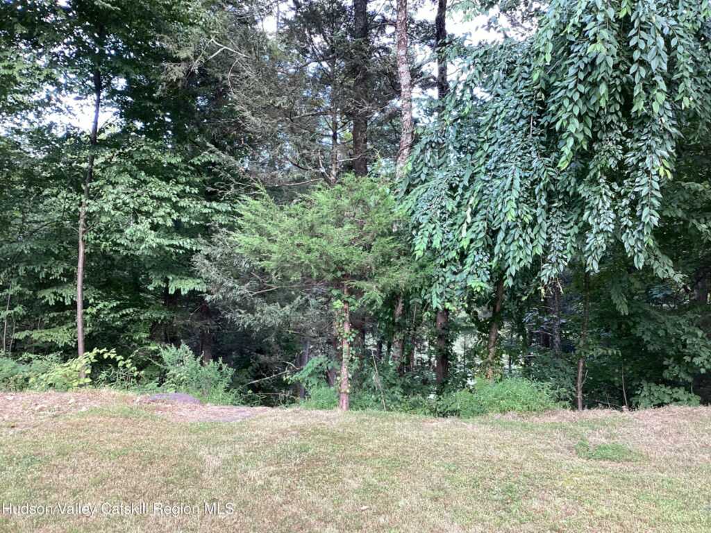 83 Buffalo Road, Saugerties, NY 12477 - Photo 23 of 38