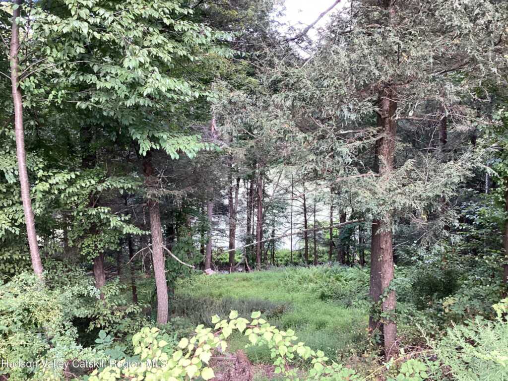 83 Buffalo Road, Saugerties, NY 12477 - Photo 24 of 38