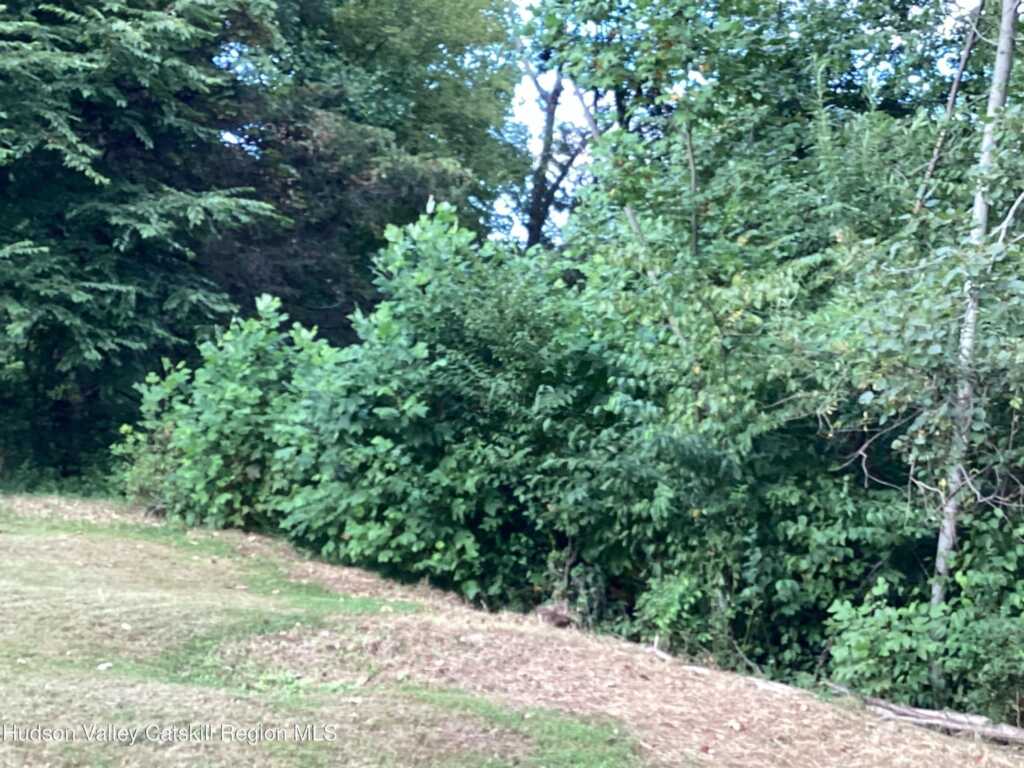 83 Buffalo Road, Saugerties, NY 12477 - Photo 27 of 38