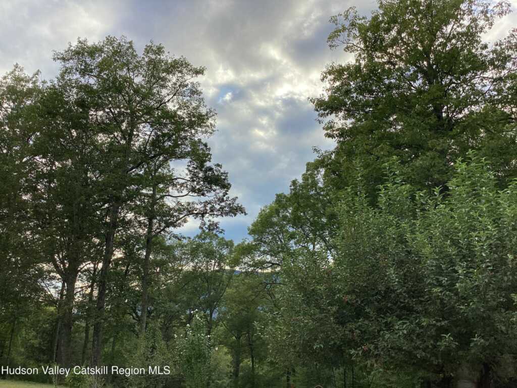 83 Buffalo Road, Saugerties, NY 12477 - Photo 28 of 38