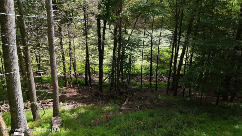 83 Buffalo Road, Saugerties, NY 12477 - Photo 43 of 50