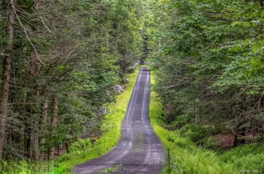 128 Newcut Road, Woodstock, NY 12498 - Photo 48 of 50