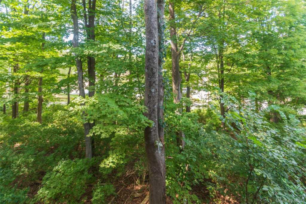 258 Village Court, Kingston, NY 12401 - Photo 40 of 41
