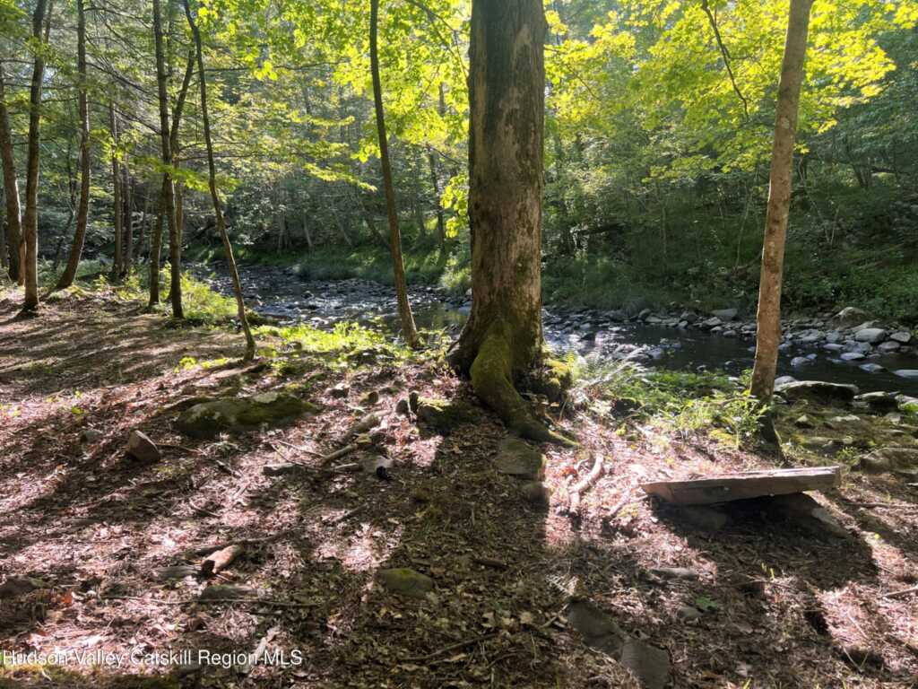 14 Beech Access Lane, High Falls, NY 12440 - Photo 33 of 40