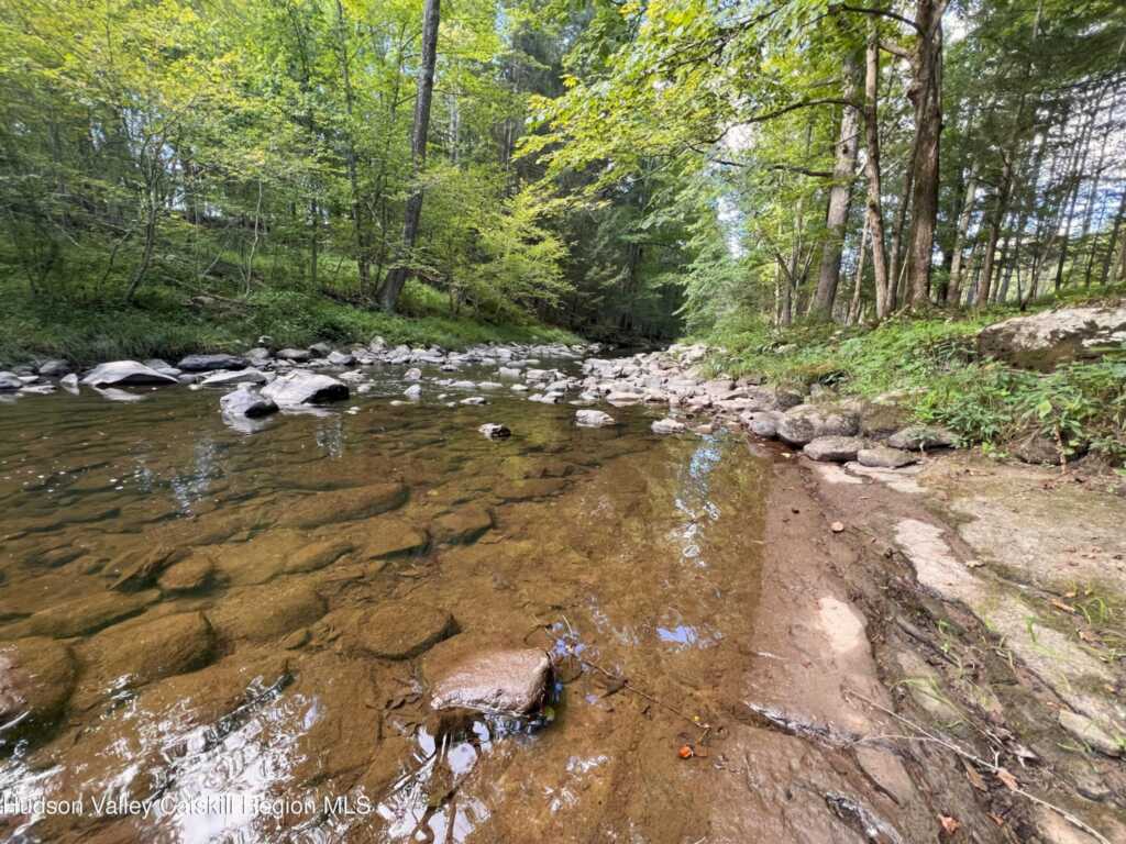 14 Beech Access Lane, High Falls, NY 12440 - Photo 34 of 40