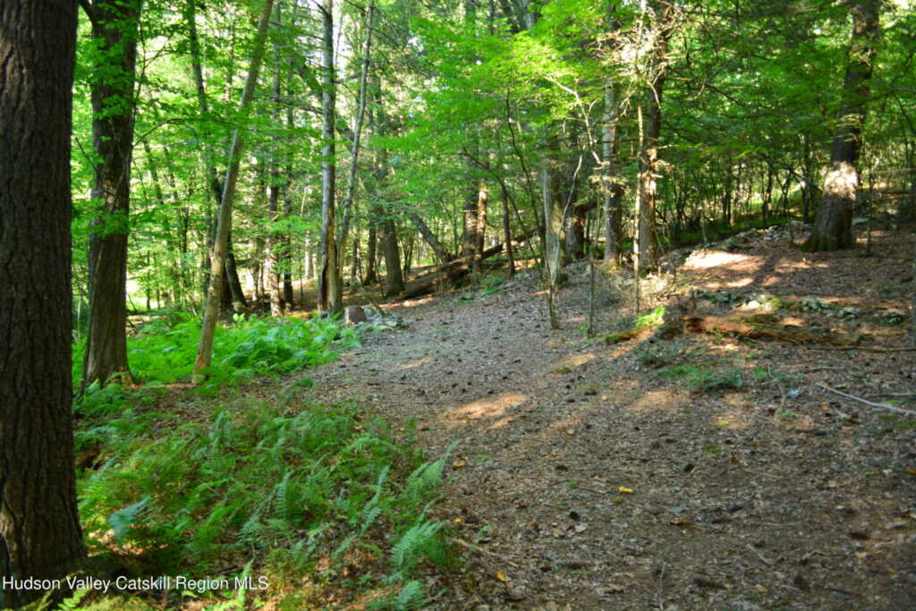 14 Beech Access Lane, High Falls, NY 12440 - Photo 37 of 40
