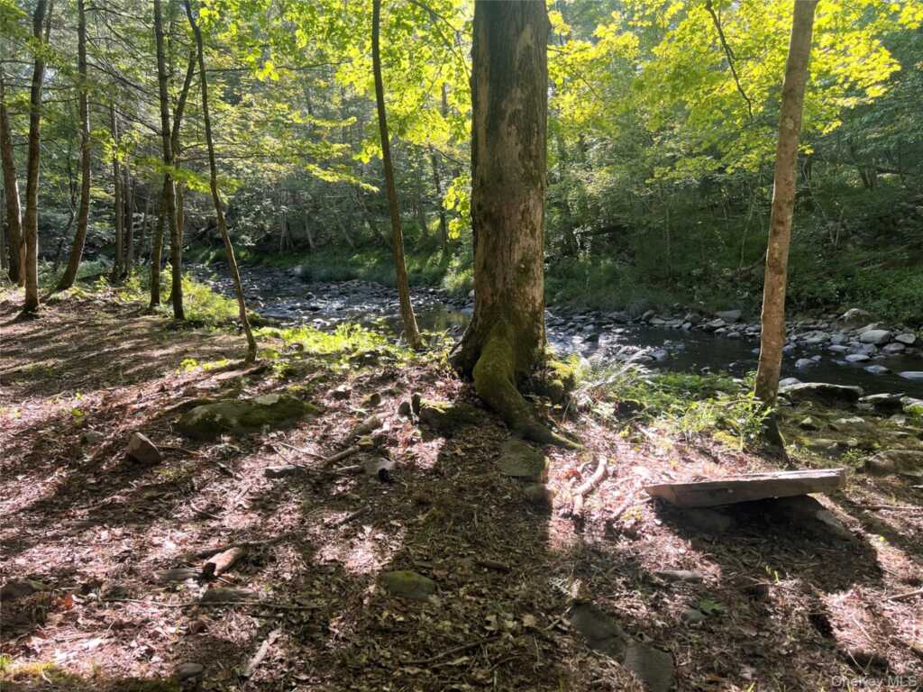 14 Beech Access Lane, Rosendale, NY 12440 - Photo 33 of 40