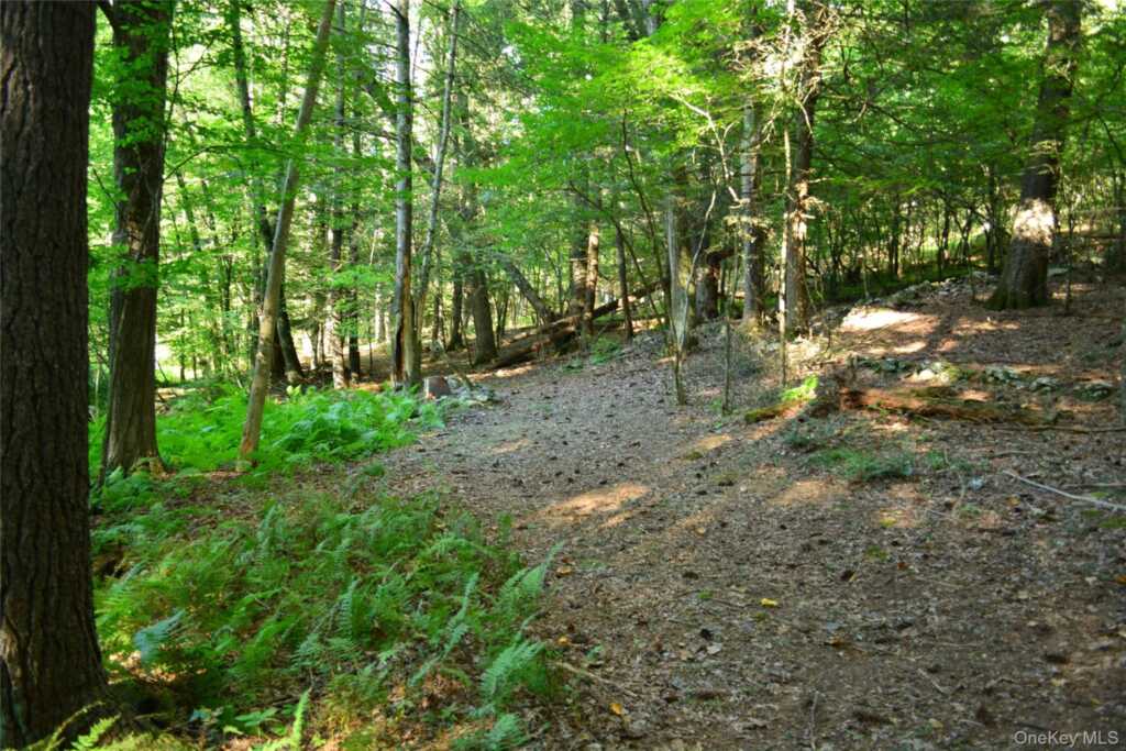 14 Beech Access Lane, Rosendale, NY 12440 - Photo 37 of 40