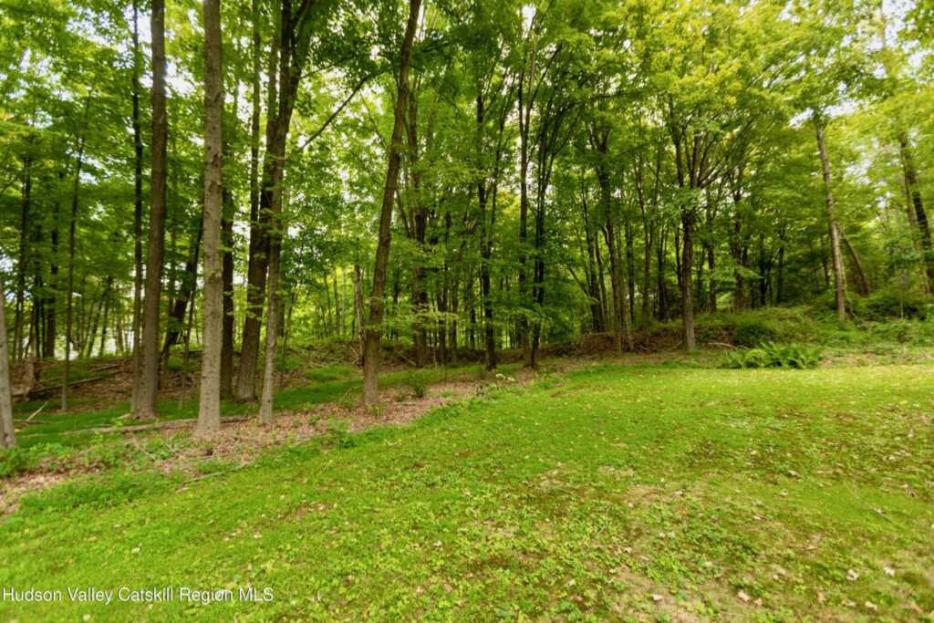 424 Tongore Way Way, Kingston, NY 12401 - Photo 30 of 46