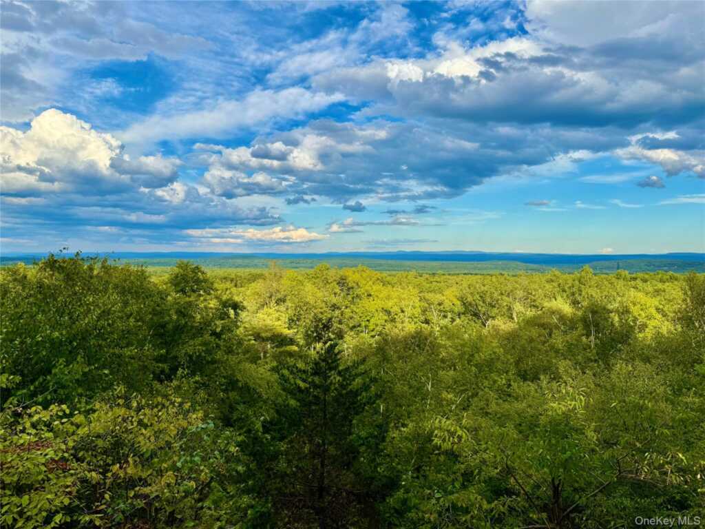 764 Saug Woodstock Road, Saugerties, NY 12477 - Photo 3 of 45