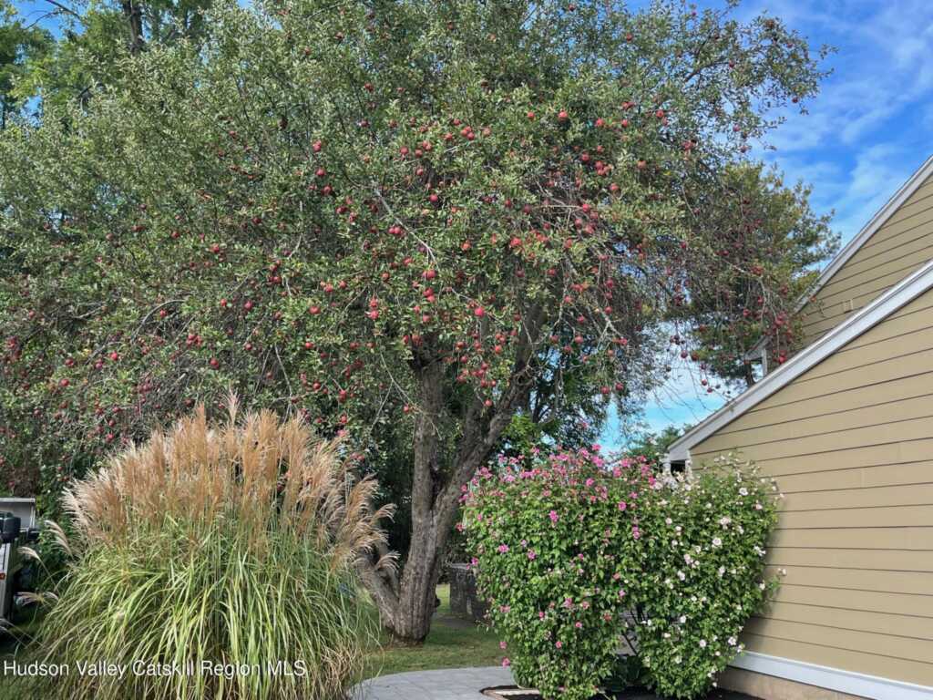 70 Stahlman Place, Kingston, NY 12401 - Photo 4 of 45