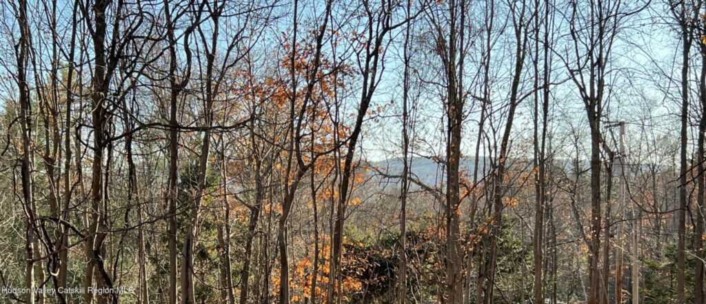 72 Meads Mountain Road, Unit #/Unit 5, Woodstock, NY 12498 - Photo 16 of 20