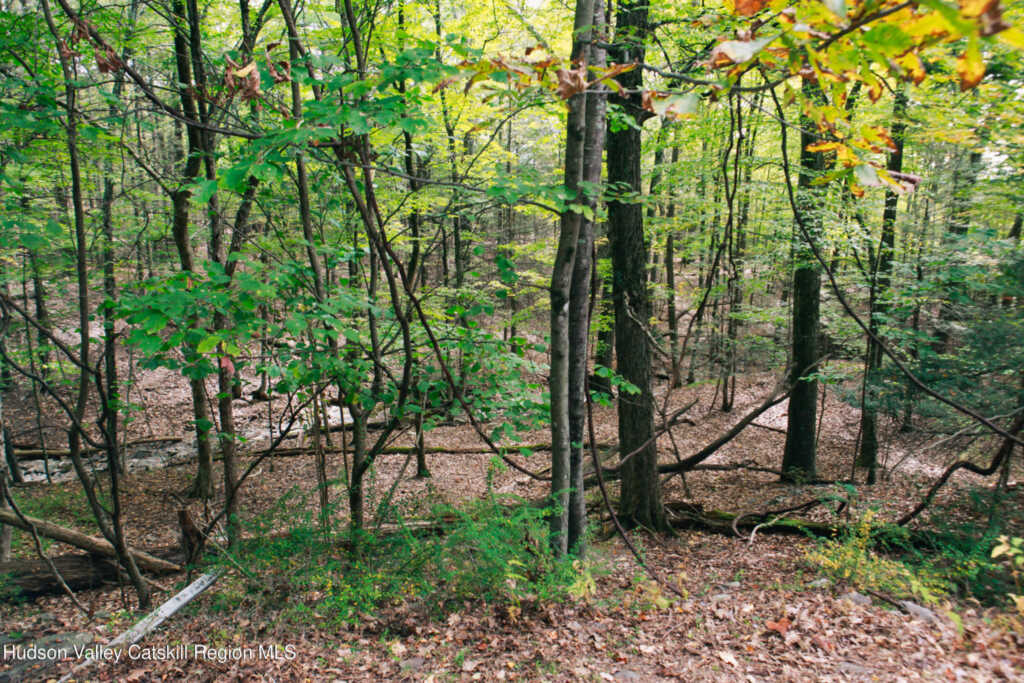76 Meads Mountain Road, Woodstock, NY 12498 - Photo 23 of 28