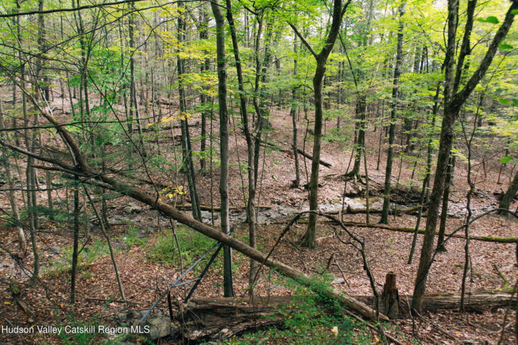 76 Meads Mountain Road, Woodstock, NY 12498 - Photo 24 of 28