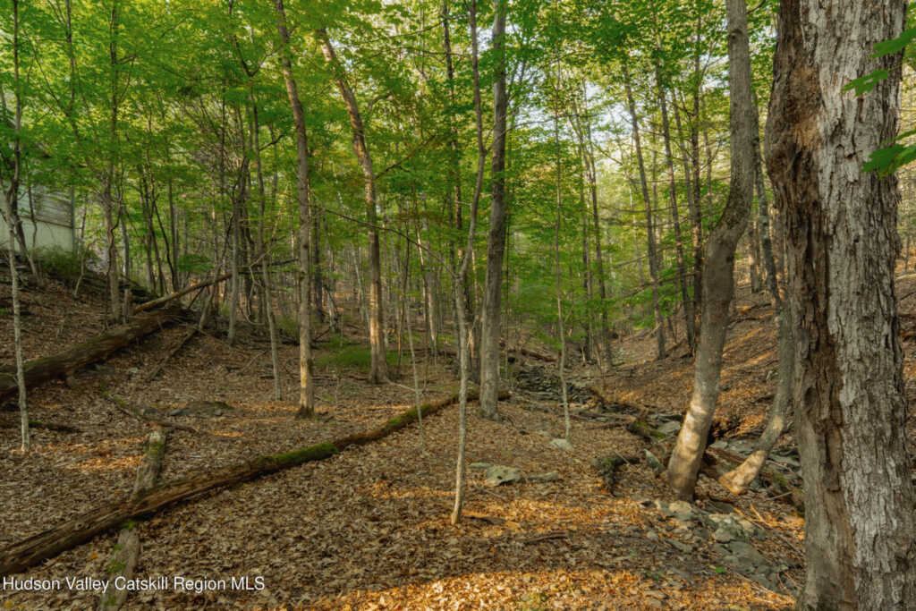 76 Meads Mountain Road, Woodstock, NY 12498 - Photo 26 of 28