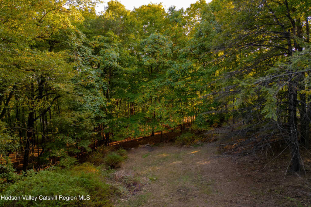 76 Meads Mountain Road, Woodstock, NY 12498 - Photo 6 of 28