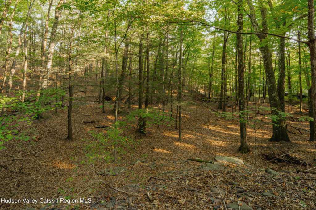 76 Meads Mountain Road, Woodstock, NY 12498 - Photo 7 of 28
