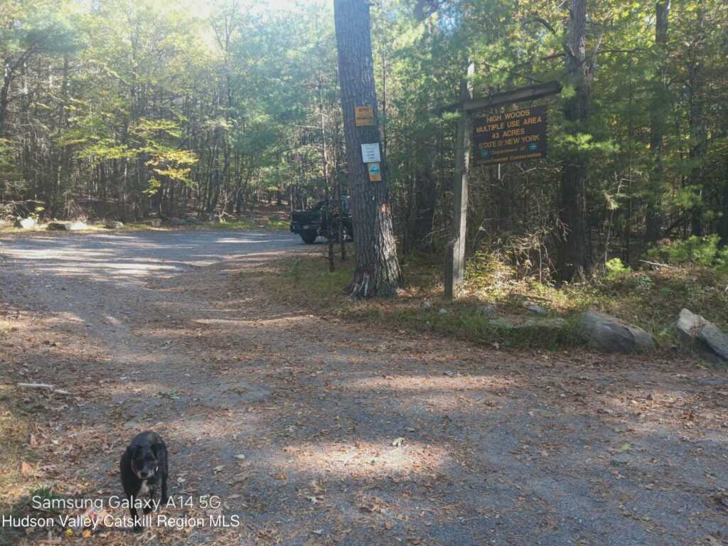 132 Dutchtown Road, Saugerties, NY 12477 - Photo 44 of 45