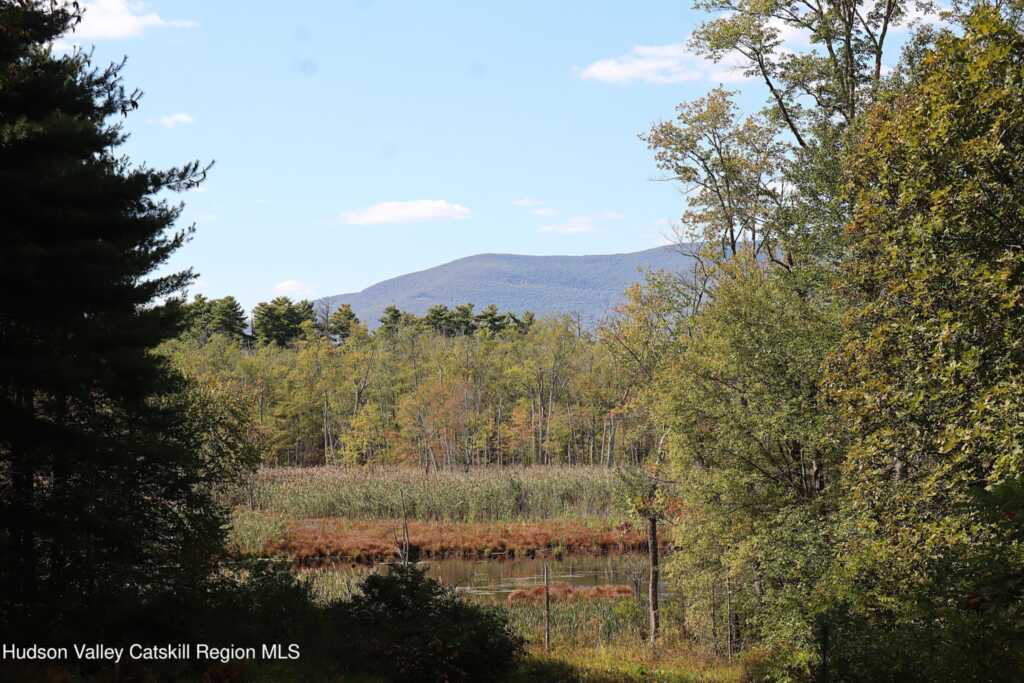 132 Dutchtown Road, Saugerties, NY 12477 - Photo 8 of 45