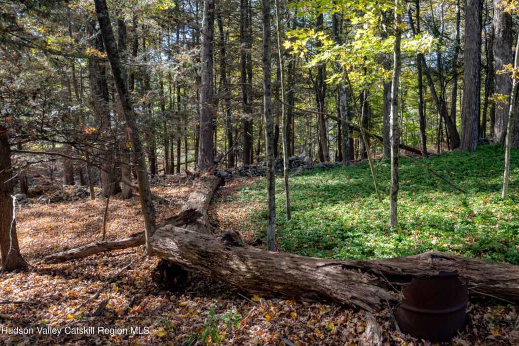 94 Lodge Rd., Saugerties, NY 12477 - Photo 6 of 50