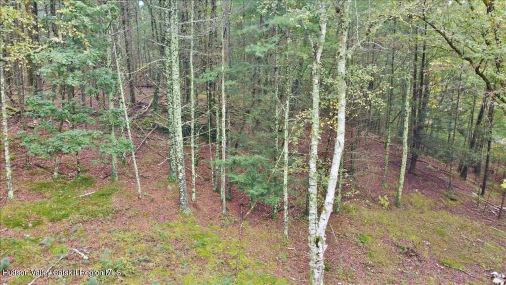 826 Buck Road, Stone Ridge, NY 12484 - Photo 36 of 40