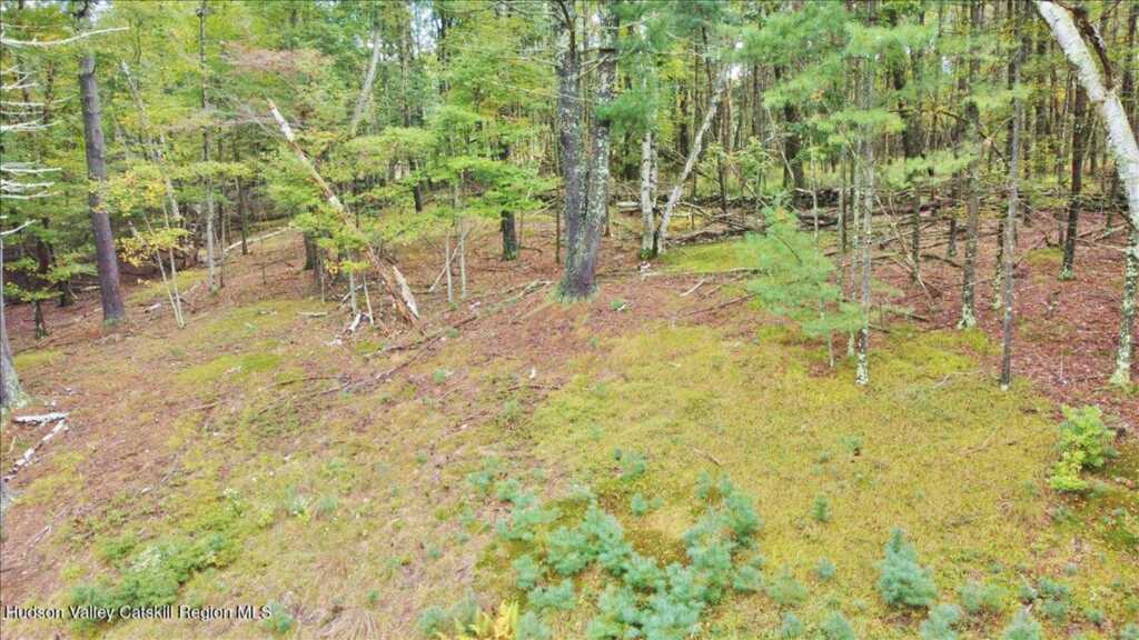 826 Buck Road, Stone Ridge, NY 12484 - Photo 37 of 40