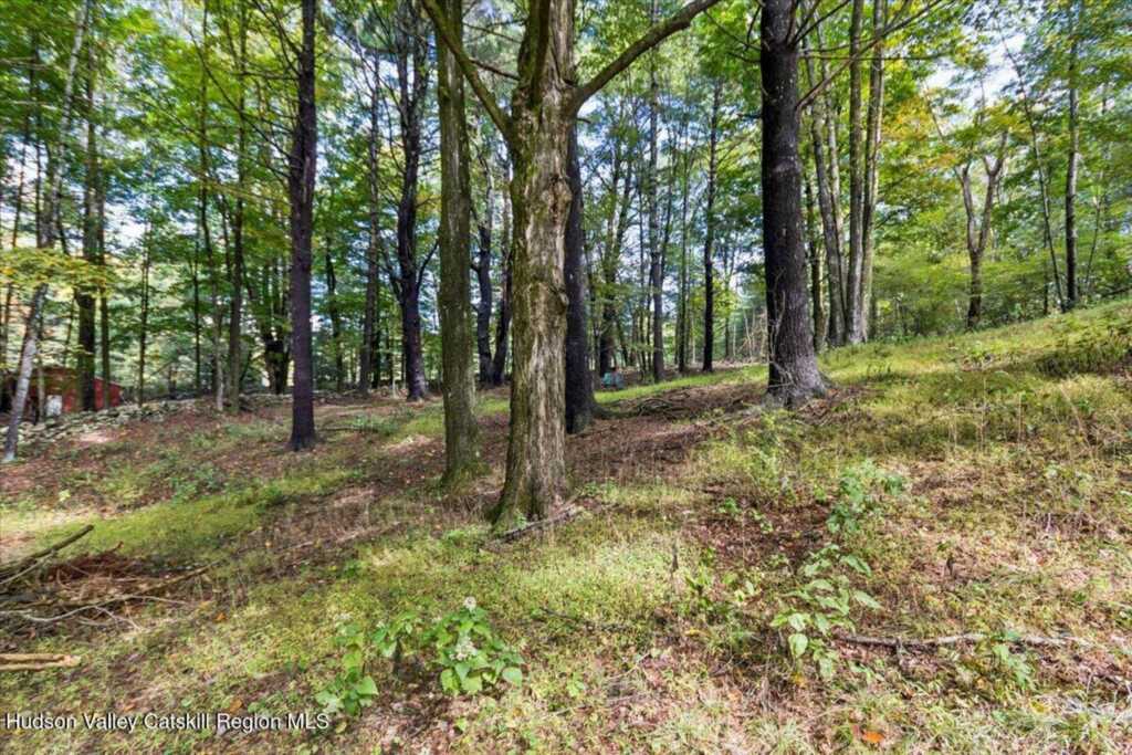 826 Buck Road, Stone Ridge, NY 12484 - Photo 39 of 40